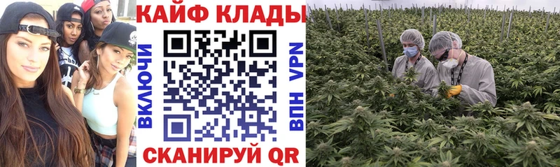 Где купить Ак-Довурак Cocaine  Бошки Шишки  Меф мяу мяу  Гашиш 
