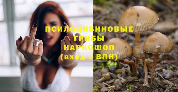 мдпв Абинск