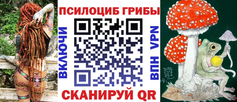 дарнет шоп  Ак-Довурак  Псилоцибиновые грибы Psilocybe 